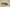 Yeezy Boost Coconut 700 Gray Black Blue