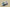 Yeezy Boost Coconut 700 Gray Black Blue