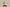 Yeezy Boost Coconut 700 Gray Black Blue