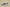 Yeezy Boost Coconut 700 Gray Black Blue