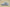 Yeezy Boost Coconut 700 V2 Grey Chunky Sneaker