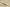 Yeezy Coconut 350 Affordable Style Meets Signature Comfort