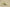 Yeezy Coconut 350 Budget-Friendly Yeezy-Inspired Sneaker