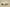 Yeezy Coconut 350 Gray Affordable Style with Classic Tones