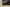 Yeezy Coconut 350 Starry Black Cost-Effective Edition
