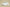 Yeezy Coconut 350 Starry Sky Affordable Cosmic Style with Yeezy Comfort