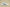 Yeezy Coconut 350 Starry Sky Affordable Cosmic Style with Yeezy Comfort