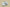 Yeezy Coconut 350 Starry Sky Affordable Cosmic Style with Yeezy Comfort