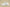 Yeezy Coconut 350 Starry Sky Affordable Cosmic Style with Yeezy Comfort