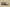 Yeezy Coconut 350 V2 Desert Yellow Cost-Effective Version