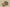 Yeezy Coconut 350 V2 Desert Yellow Cost-Effective Version