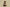Yeezy Coconut 350 V2 Desert Yellow Cost-Effective Version