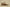 Yeezy Coconut 350 V2 Desert Yellow Cost-Effective Version