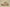 Yeezy Coconut 350 V2 Desert Yellow Cost-Effective Version