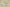 Yeezy Coconut 350 V2 Police Light Gray Red Tail Cost-Effective Version