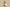 Yeezy Coconut 350 V2 Police Light Gray Red Tail Cost-Effective Version