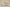 Yeezy Original Coconut 350 V2 Gray and Red Colorway