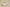 Yeezy Original Coconut 350 V2 Gray and Red Colorway