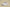 Yeezy Coconut 350 V2 Police Light Gray Red Tail Cost-Effective Version