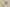 Yeezy Coconut 350 V2 Police Light Gray Red Tail Cost-Effective Version