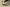 Yeezy Coconut 700 V3 "Srphym" yellow-gray