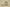 Yeezy Coconut 700 V3 "Srphym" yellow-gray