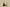Yeezy Foam Runner "Cream Clay" Lightweight Ventilated Design