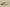 Yeezy Foam Runner "Moon Grey" Lightweight Ventilated Design