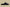 Yeezy Slide Coconut Slippers Black