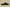 Yeezy Slide Coconut Slippers Black