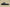 Yeezy Slide Coconut Slippers Black