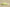Yeezy Slide "Glow Green" Trendy Slippers Fluorescent Green Grainy Matte Coconut Half-slipper