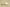 Yeezy Slide "Glow Green" Trendy Slippers Fluorescent Green Grainy Matte Coconut Half-slipper