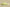 Yeezy Slide "Glow Green" trendy slippers fluorescent green