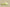 Yeezy Slide "Glow Green" trendy slippers fluorescent green