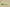 Yeezy Slide “Glow Green” Vibrant Comfort by Kanye