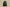 Yeezy boost 700 "Utility black" Coconut Black Rubber Black Warrior