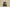 Yeezy boost 700 V2 "Tephra" Volcanic Brown Gray