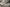 Yeezy boost 700 V2“Static” Chunky Runner In Grey Cream