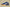 Zoom Kobe 4 EP Navy Blue/Black/Orange