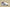 Zoom Kobe 4 Protro Basketball Shoes White/Navy Blue