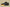 Zoom Kobe 4 Protro Black/Aurora Green-University Gold