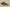 Zoom Kobe 4 Protro Carpe Diem Black/Del Sol-Varsity Purple-Cool Gre