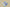 Zoom Kobe 4 Protro Draft Day White/Orion Blue-Varsity Purple