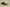 Zoom Kobe 4 Protro Green/Black/White