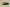 Zoom Kobe 4 Protro Green/Black/White