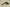 Zoom Kobe 4 Protro Green/Black/White
