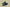 Zoom Kobe 4 Protro Green/Black/White