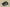Zoom Kobe 5 Black Out Black/Black-Metallic Silver-Dark Grey