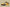 Zoom Kobe 5 Bruce Lee Del Sol/Black-Metallic Silver-Comet